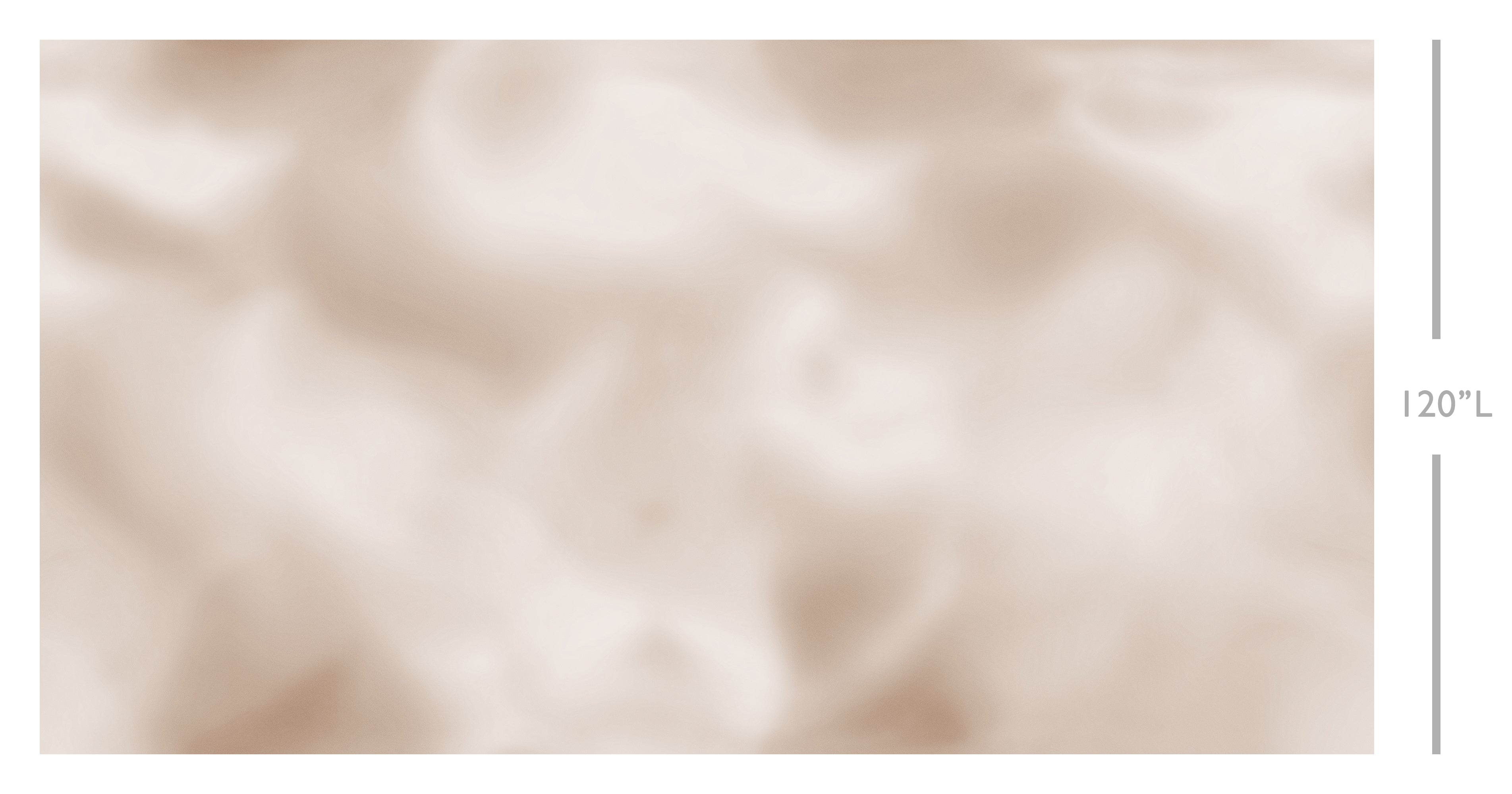 Encore© Mural Wallpaper in Sand Dollar