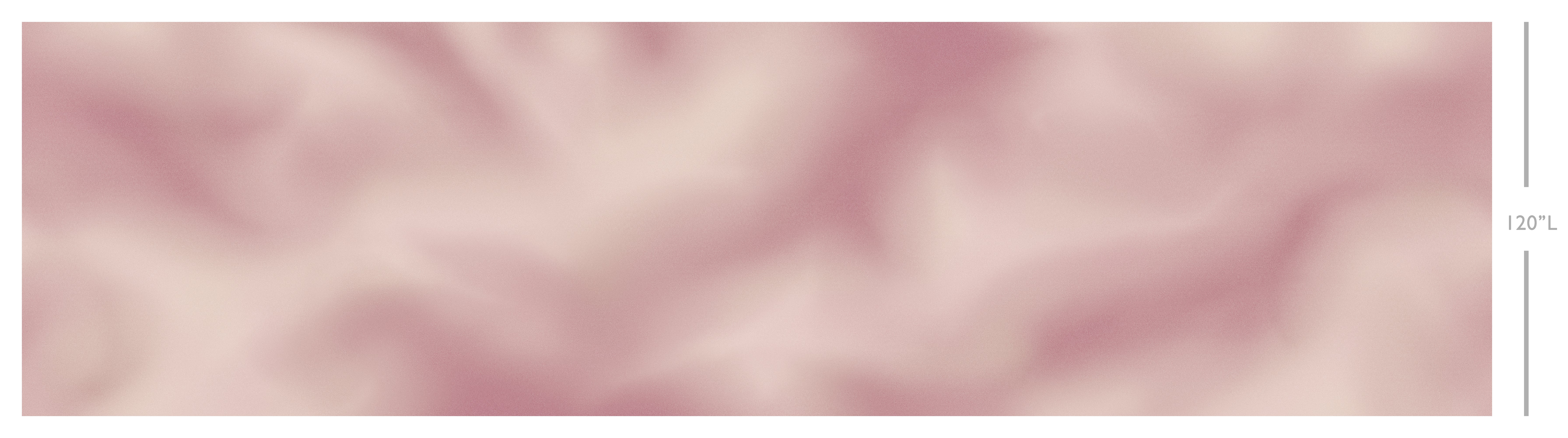 Galaxy© Mural Wallpaper in English Rose