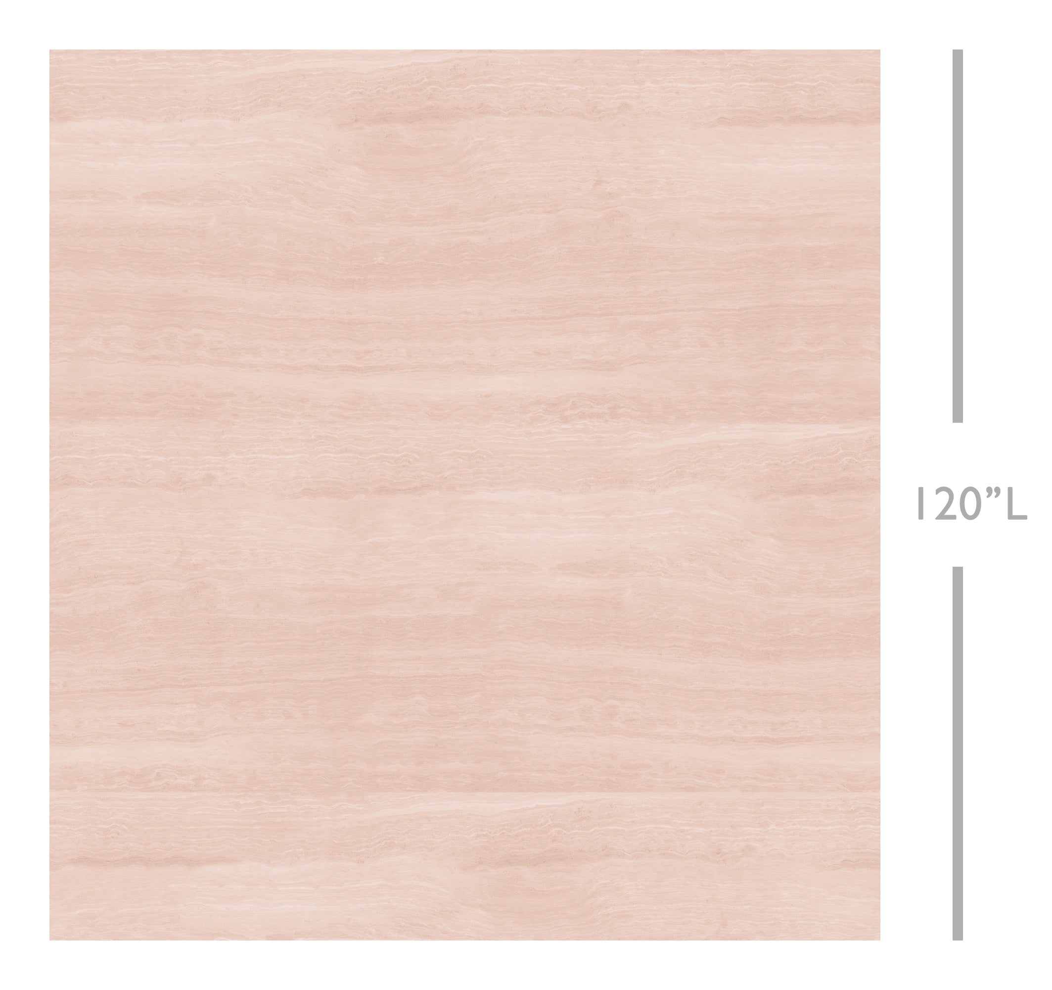 Limestone© Mural Wallpaper in Shell