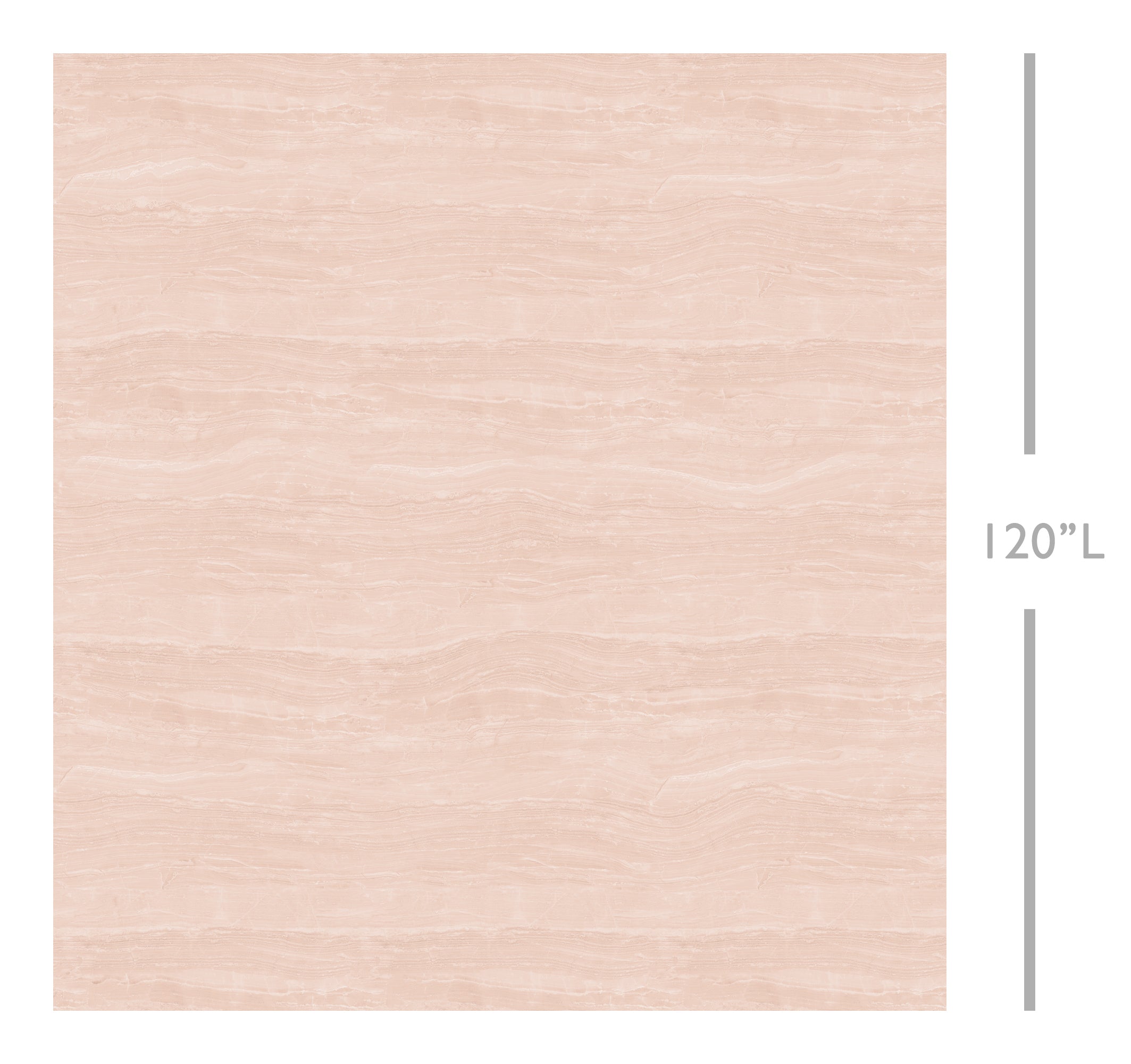 Travertine© Mural Wallpaper in Shell