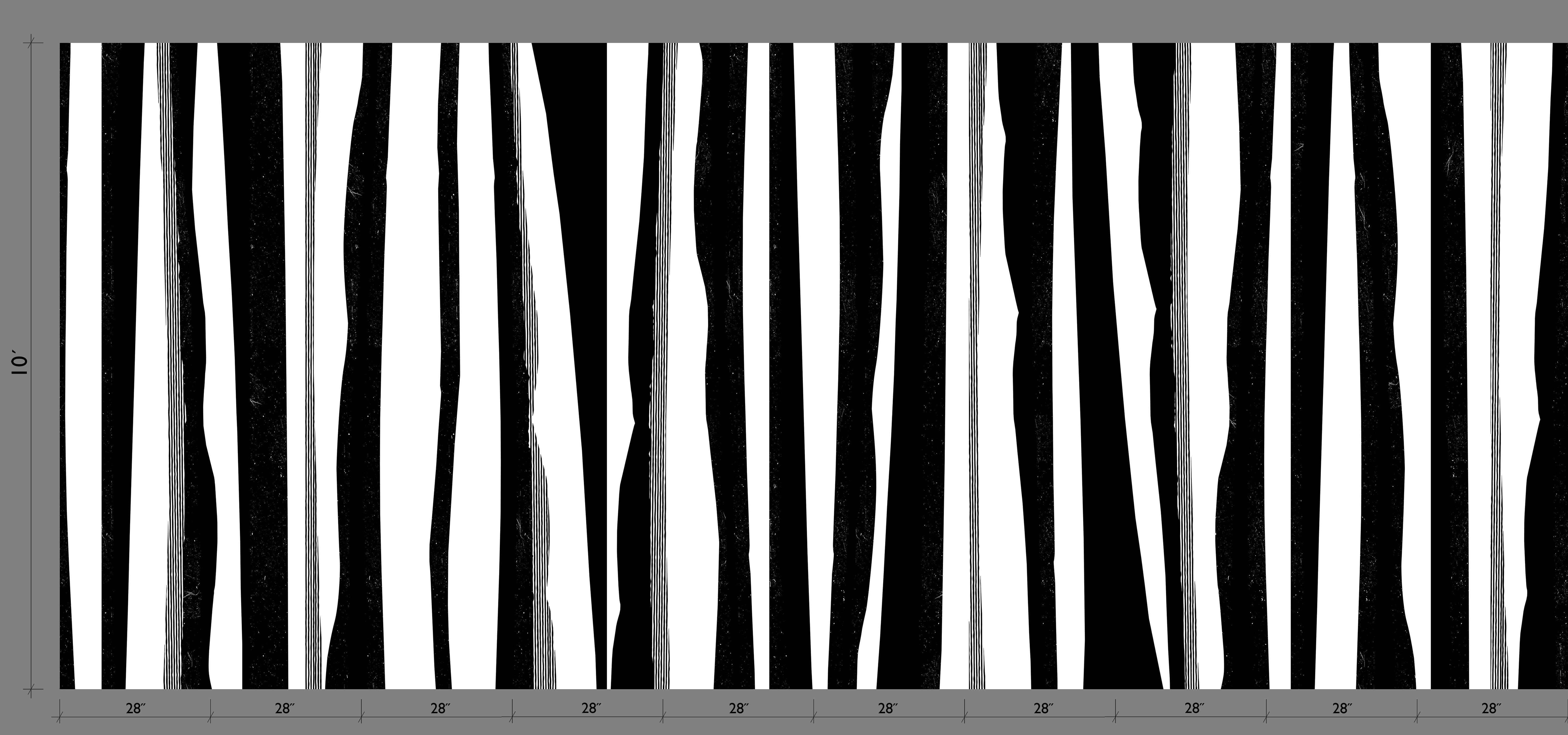 Longitude© Mural Wallpaper in Black+White