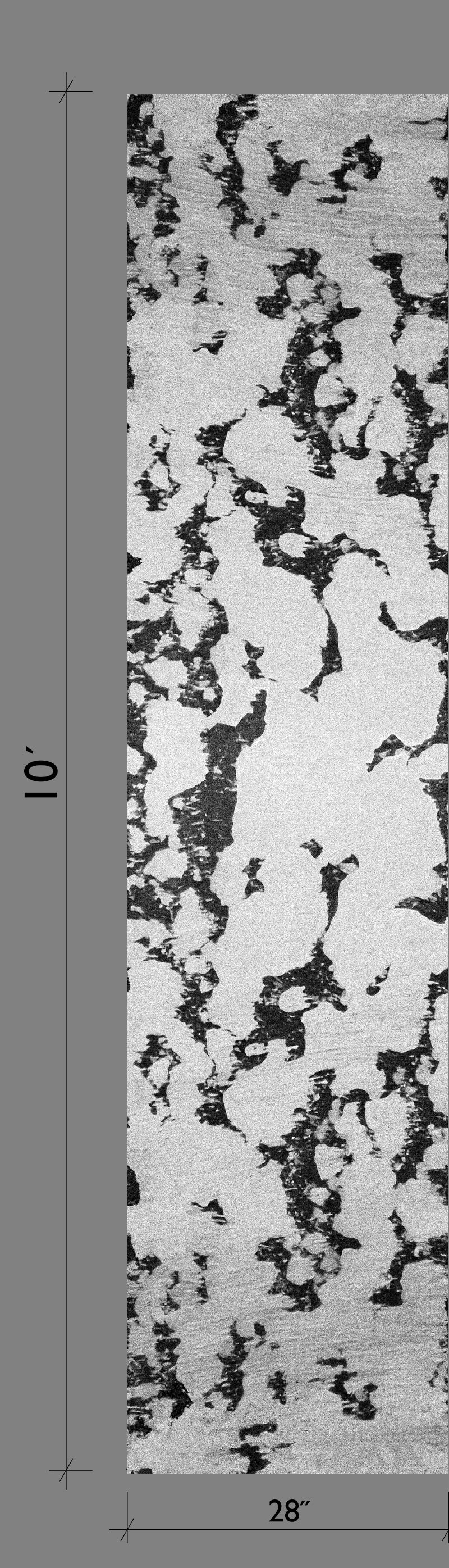 Tumbleweed© Wallpaper in Black + White