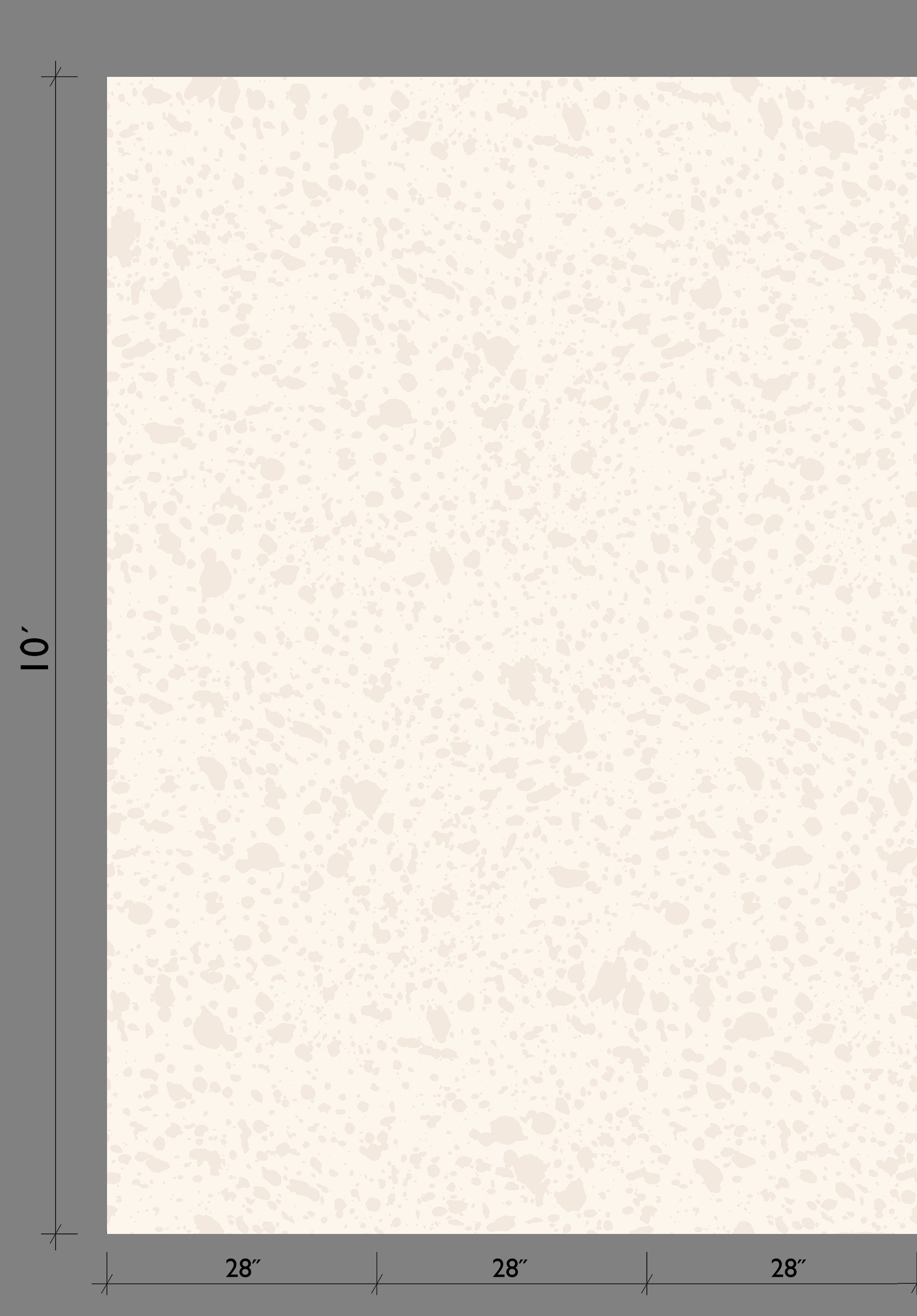 Appaloosa© Mural Wallpaper in Milk