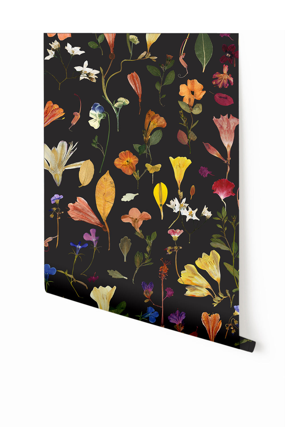 Botanic Bloom© Wallpaper in Black