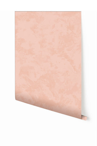 Venetian© Mural Wallpaper in Blush