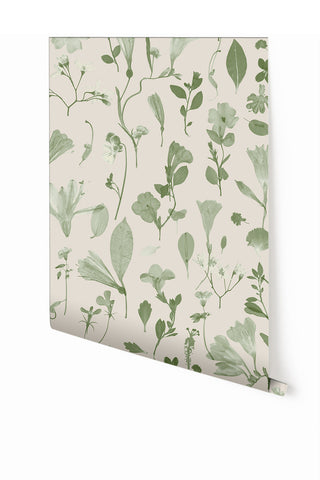 Botanic Bloom© Wallpaper in Sage